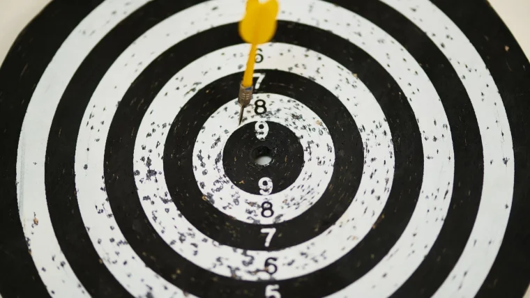 What a Calibration Target Board Does